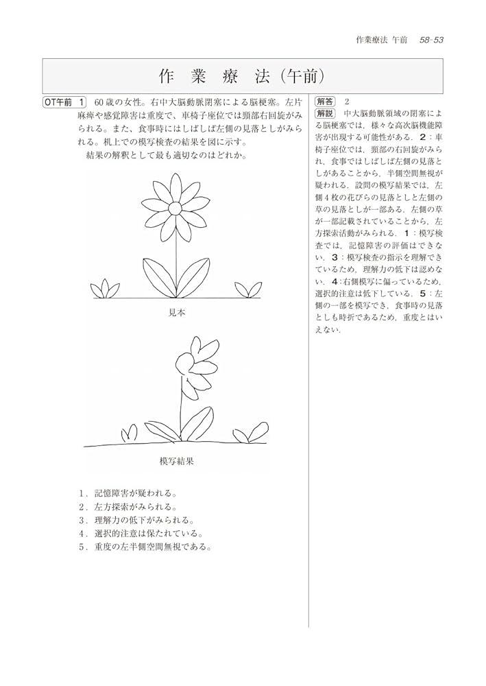 理学療法士・作業療法士国家試験問題 解答と解説 第２９回-３３回（’９９）/医歯薬出版/医歯薬出版株式会社（単行本） 理学療法士・作業療法士国家試験問題 解答と解説 第29回-33